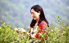 把腿开到最大就不疼了免费播放